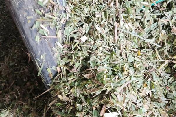 猪饲料的配方，用麦麸、玉米、鱼粉等材料配制