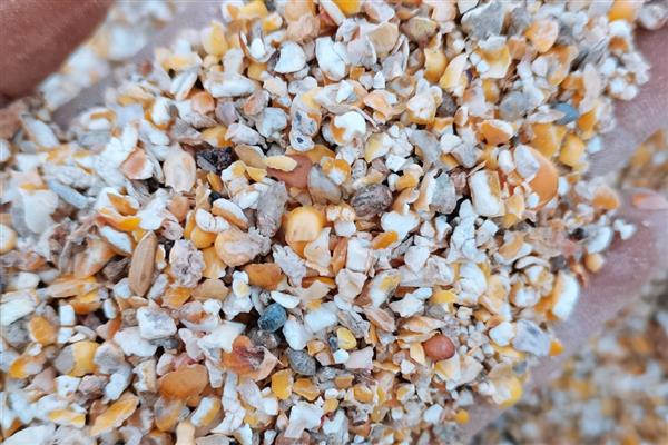 猪饲料的配方，用麦麸、玉米、鱼粉等材料配制