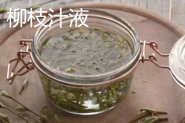 水培观音竹出现黄叶如何解决，水分过多要下调水位
