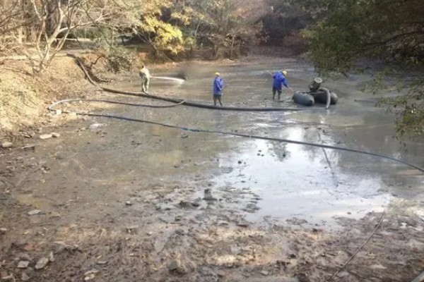 银雪鱼苗如何饲养管理,养殖密度为每亩3000斤左右