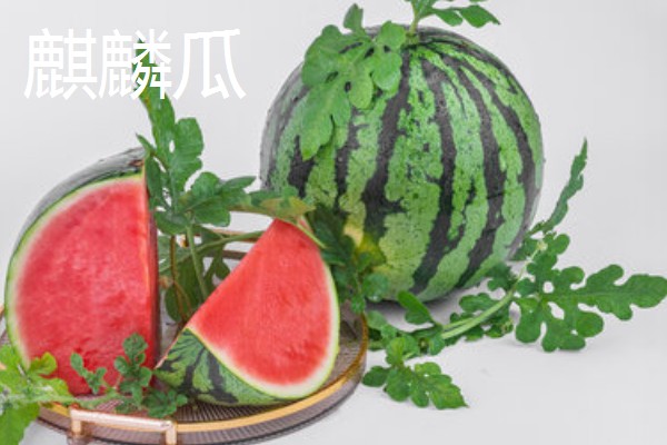 麒麟瓜与黑美人的区别，其外观和果肉均不同