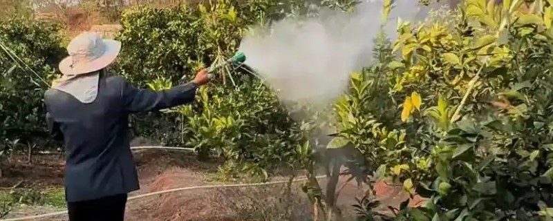 拿敌稳5克要配多少水，通常取决于它的使用对象