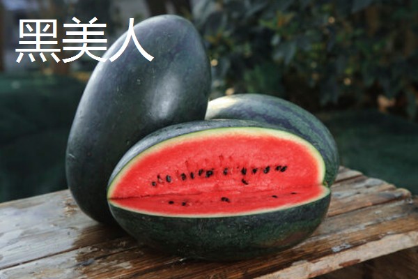 麒麟瓜与黑美人的区别，其外观和果肉均不同