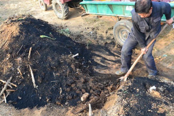 迷你南瓜怎么种植,春秋两季都可以播种