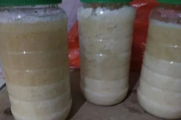 荆条蜜结晶是哪种颜色，多呈乳白色的细颗粒状