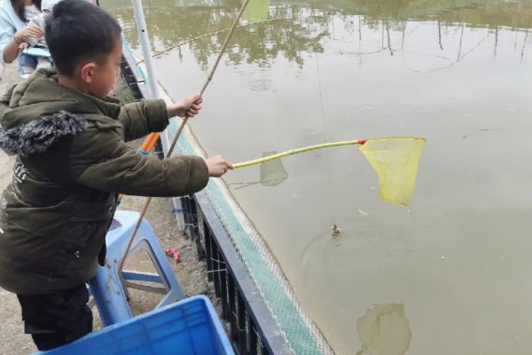 钓龙虾所需钓具，可使用结实的竹竿