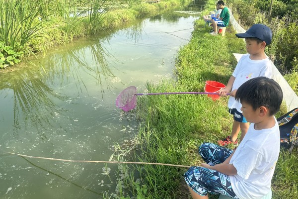 钓龙虾所需钓具，可使用结实的竹竿