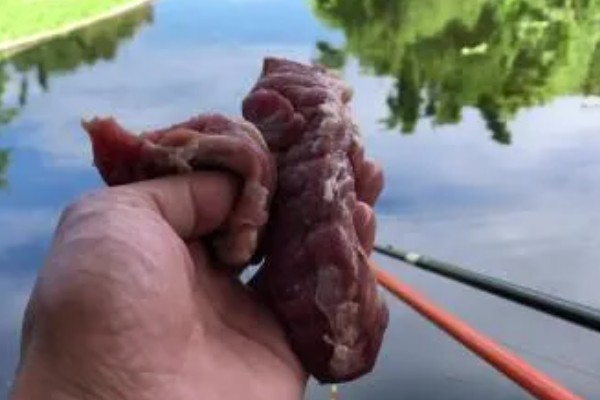 钓龙虾所需钓具，可使用结实的竹竿