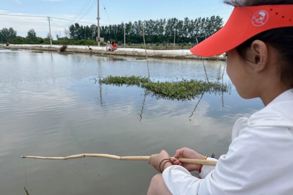 钓龙虾所需钓具，可使用结实的竹竿