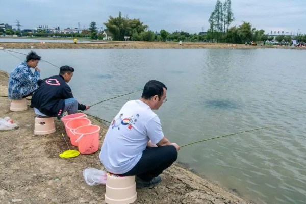 钓龙虾所需钓具，可使用结实的竹竿