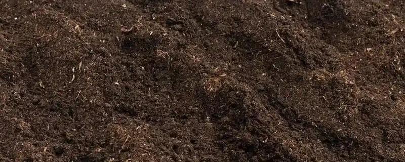 土壤全氮的含量，一般是每千克0.4g-3.8g