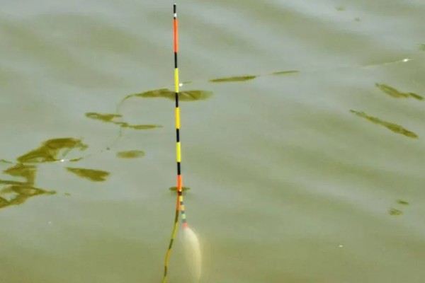 钓鲫鱼是金袖还是赤袖好，根据自己的习惯来选择