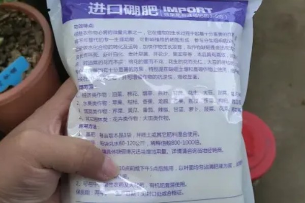 自制硼肥的方法，将硼砂兑水拌匀即可喷施