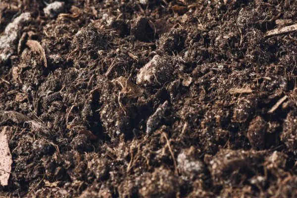 土壤全氮的含量,一般是每千克0.4g-3.8g