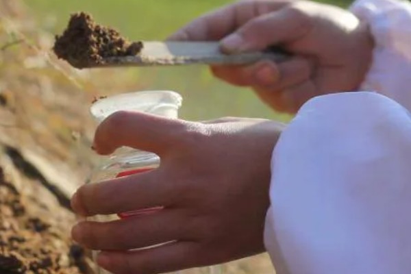 土壤全氮的含量,一般是每千克0.4g-3.8g