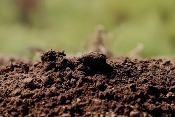 土壤全氮的含量,一般是每千克0.4g-3.8g