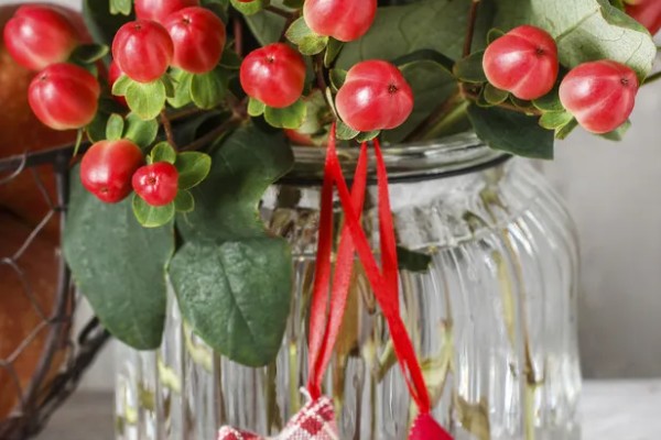 怎么养红果金丝桃插花，通过泡水的方法来养护