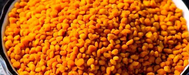 茶花粉的简介，是蜜蜂从茶花上面采集的花粉团