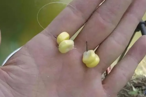 海竿钓草鱼是不是钓底,钓浮、钓底均可选择