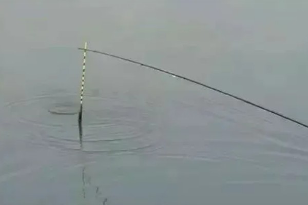 海竿钓草鱼是不是钓底,钓浮、钓底均可选择