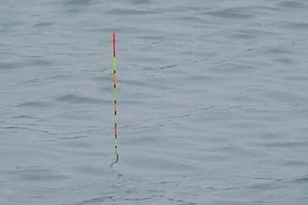 海竿钓草鱼是不是钓底,钓浮、钓底均可选择