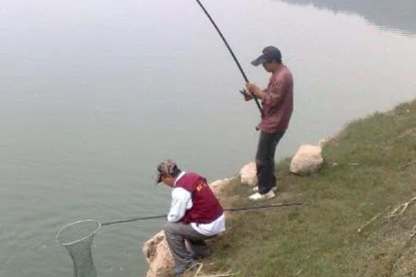 海竿钓草鱼是不是钓底,钓浮、钓底均可选择