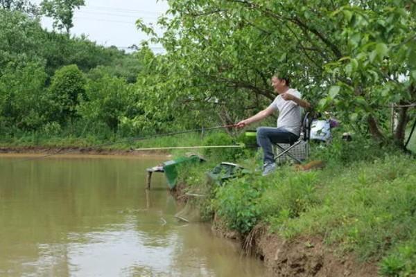 海竿钓草鱼是不是钓底,钓浮、钓底均可选择