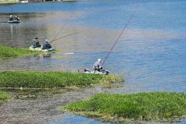 海竿钓草鱼是不是钓底,钓浮、钓底均可选择