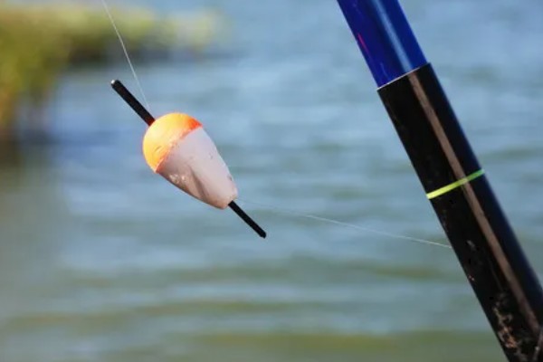 海竿钓草鱼是不是钓底,钓浮、钓底均可选择