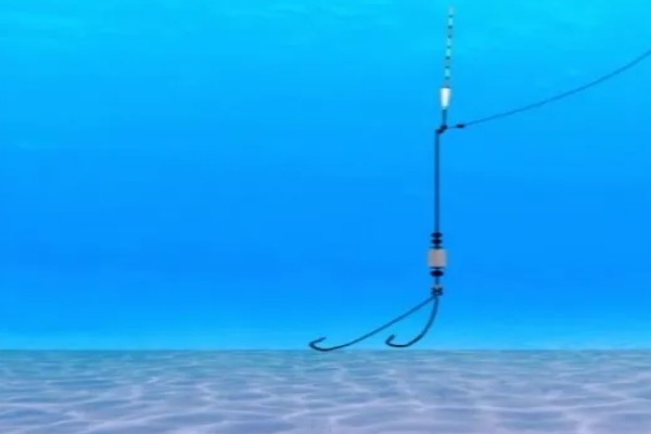 海竿钓草鱼是不是钓底,钓浮、钓底均可选择