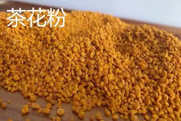 茶花粉的简介，是蜜蜂从茶花上面采集的花粉团