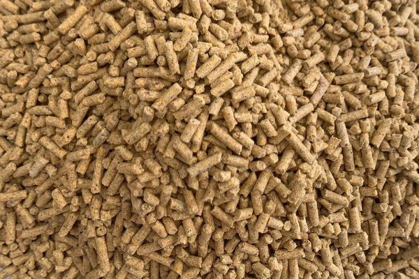 猪吃什么饲料才长得快，吃配合饲料长得快