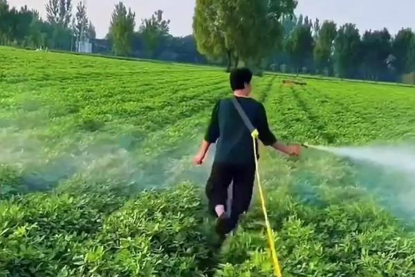 辣椒病害类型，常见病毒病、疫病、炭疽病等病害