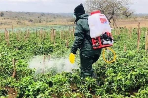 辣椒病害类型，常见病毒病、疫病、炭疽病等病害