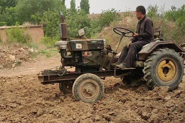 辣椒病害类型，常见病毒病、疫病、炭疽病等病害