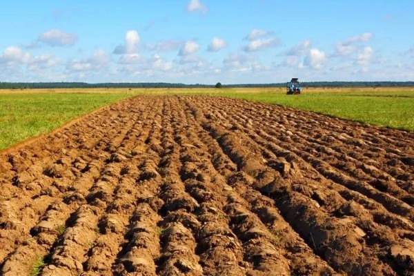一般耕地有什么用途，主要用于粮食、蔬菜等作物生产