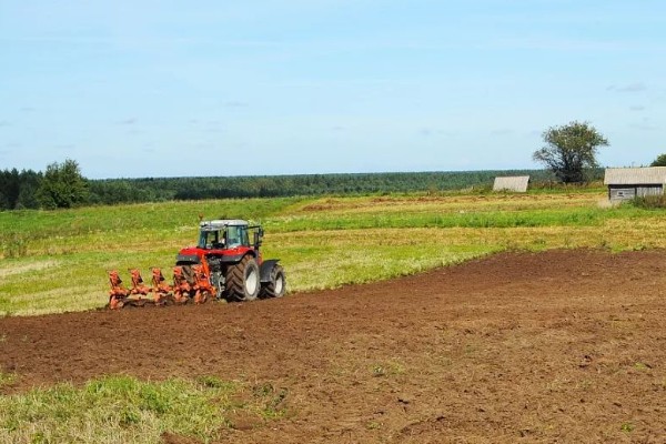 一般耕地有什么用途，主要用于粮食、蔬菜等作物生产