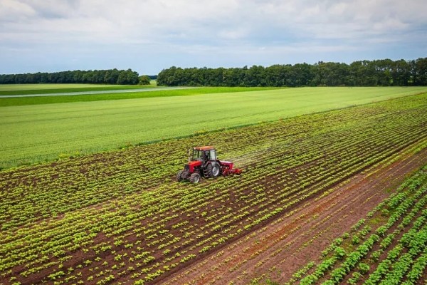 一般耕地有什么用途，主要用于粮食、蔬菜等作物生产