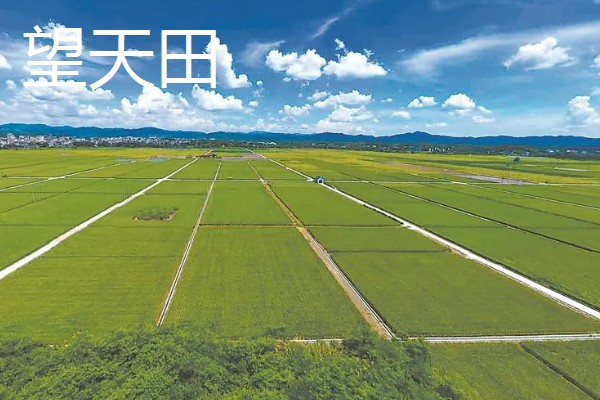 一般耕地有什么用途，主要用于粮食、蔬菜等作物生产