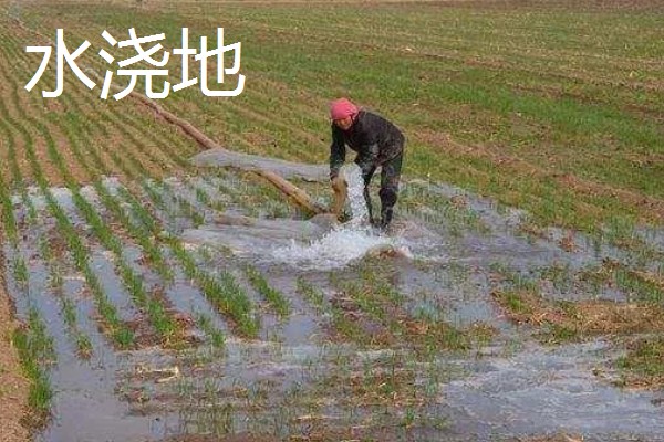 一般耕地有什么用途，主要用于粮食、蔬菜等作物生产