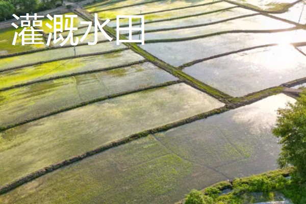 一般耕地有什么用途，主要用于粮食、蔬菜等作物生产