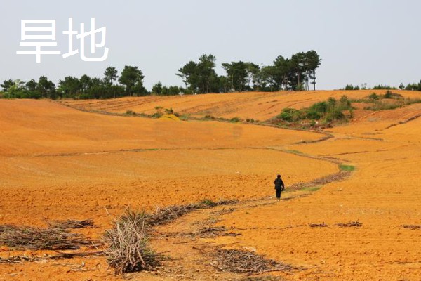 一般耕地有什么用途，主要用于粮食、蔬菜等作物生产