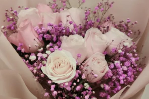 11朵粉色玫瑰的花语，寓意用心去爱、珍贵友情等