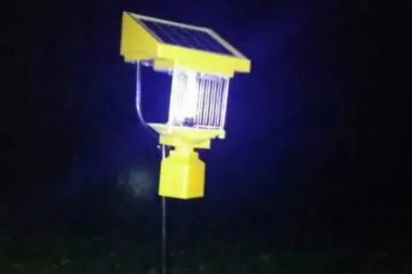 芝麻田有蟋蟀怎么办，可在冬春季翻地灭卵