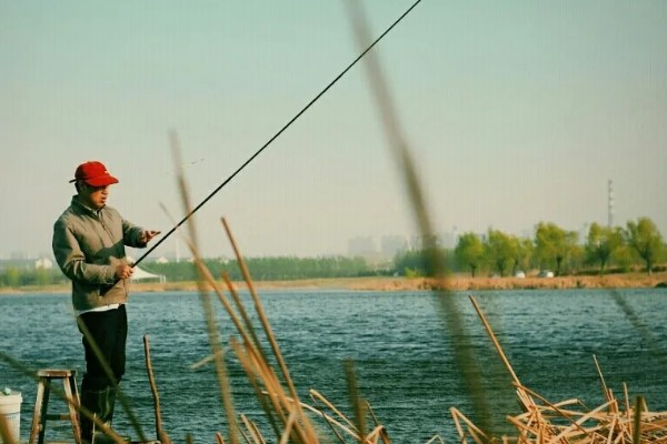 8号伊势尼钩的垂钓重量，会受到线组搭配、鱼竿调性等条件的影响