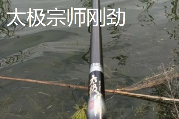 初学钓鱼如何选择鱼竿长度,3.6米和4.5米比较适合初学者