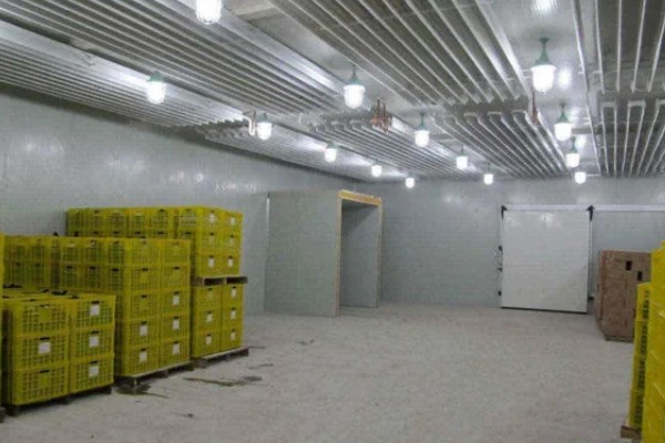 枣树怎么用药,可采取喷粉、撒施、泼浇等方式