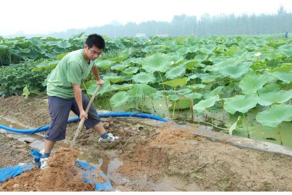 饼肥的简介，是用榨油后剩余的残渣制成的肥料