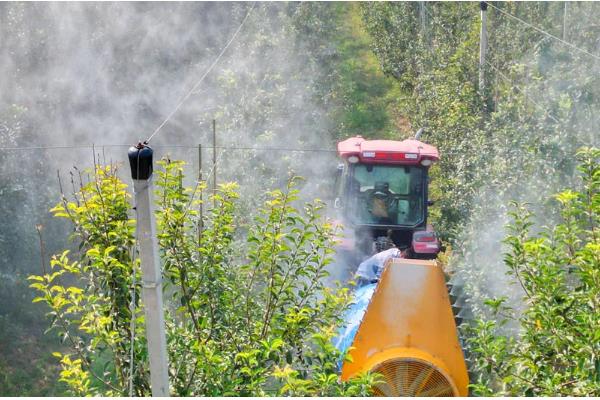使用氟磺胺草醚要注意什么，用量较多或在高温天气下打药容易引发药害