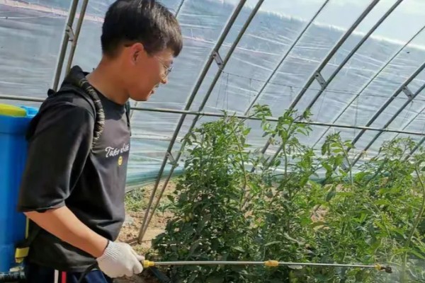 拿敌稳5克要配多少水，通常取决于它的使用对象